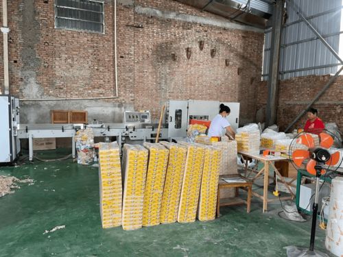 農(nóng)村辦衛(wèi)生紙加工廠 市場前景與個(gè)人衛(wèi)生用品銷售策略探析